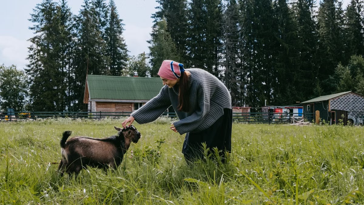 Woman feeding a goat on a rural farm with lush greenery and forest backdrop.